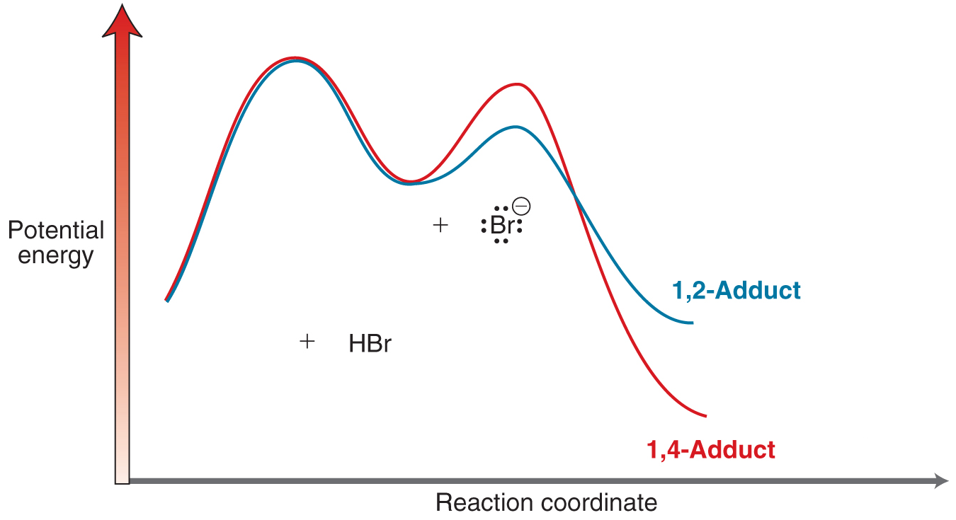 Kinetic Control 16.4 Thermodynamic vs Kinetic Control