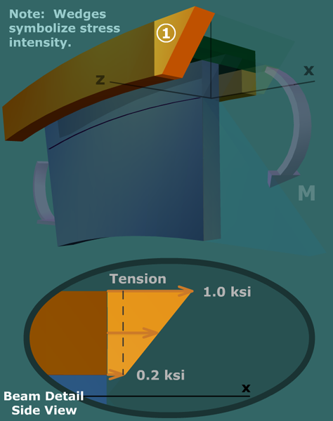 Visualize bending stresses