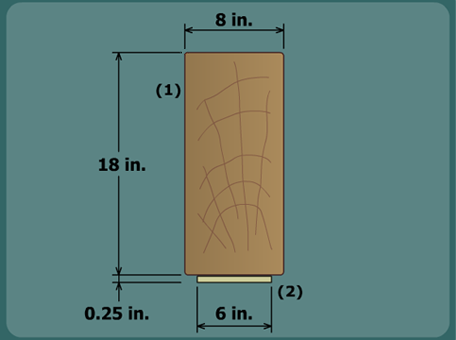 Timber beam reinforced with CFRP