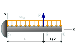 Thumbnail image of animation M10.13
