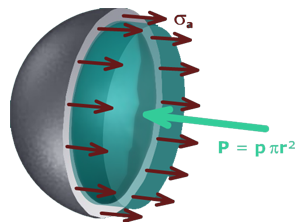 Thumbnail image of animation M14.1